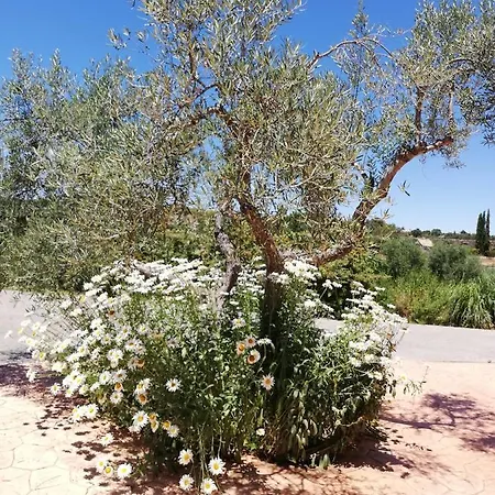 Casa Rural Los Arcos Country house Ronda